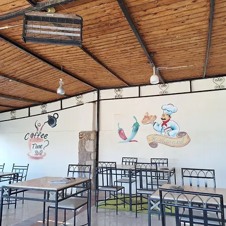 Dolphin Hotel Safaga